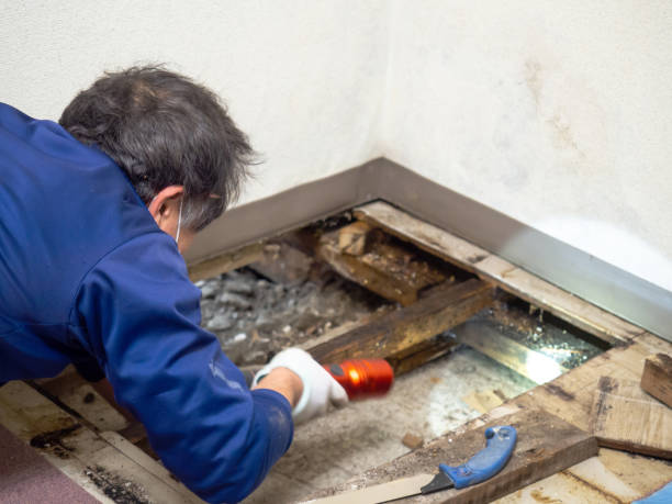 Glen Rock, PA Mold Removal Company