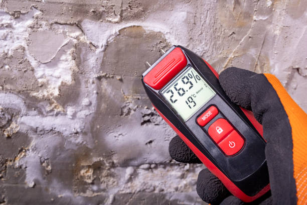 Best Toxic Mold Removal  in Glen Rock, PA