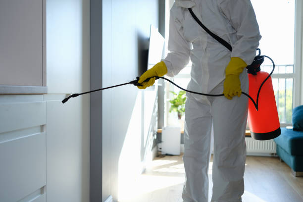 Best Professional Mold Removal  in Glen Rock, PA